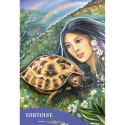 Blue Angel The Zen Of Animals Oracle Cards