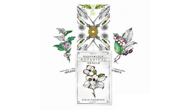 Llewellyn Hedgewitch Botanical Oracle Cards
