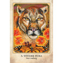Blue Angel Earth Warriors Oracle Cards