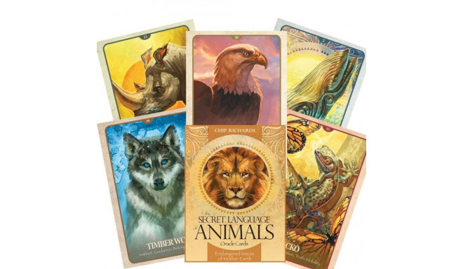 Blue Angel The Secret Language Of Animals Oracle Cards