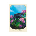 Blue Angel Animal Voices Oracle Cards