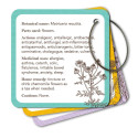 Rockpool Apothecary Flashcards Cards