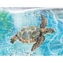 Rockpool Water Blessings Affirmation Cards