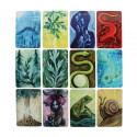 Llewellyn Liminal Spirits Oracle Cards