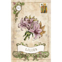 US Games Systems Old Style Lenormand Cards