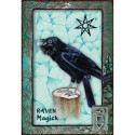 Blue Angel Animal Dreaming Oracle Cards