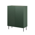 Bookcase 2D2SZ ONDA 98x45xH127 green)