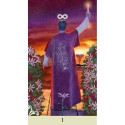 Lo Scarabeo Vice Versa Tarot Cards