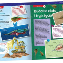 Creative set - Breeding of triops