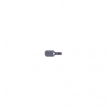 Proline kruviotsikud torx T40 3/8"(10mm) l=30mm s2 2szt.
