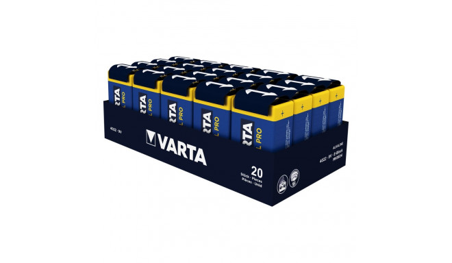 20x patarei R9V 6LR61 9V leelis Varta Industrial