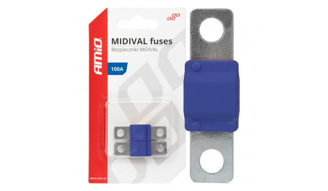 midival auto kaitsmid 2 tk 100a amio-03479