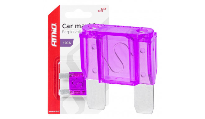 Auto kaitsme maxi 100A amio-03387