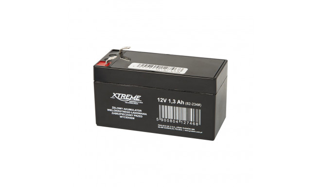 82-234# Geelakumulaator 12V 1.3Ah Xtreme