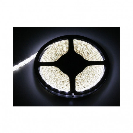 70-976# LED-riba külm valge 5050 5m/300veekindel