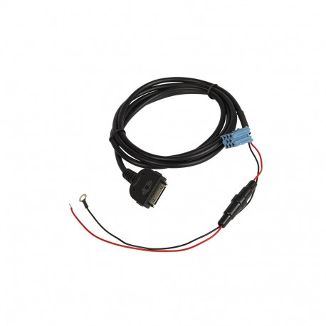 0698# auto aux-sisend iPodile -blaupunkt