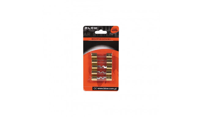 8947# Autoklaasikaitse 30A 10,3x38mm (5 tk.)