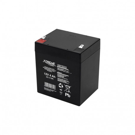 82-210# geelakugaator 12v 4ah xtreme 100x90x70_4,8