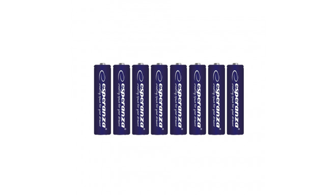 EZB103 Esperanza leelispatareid AA 8 tk blisterpakendis
