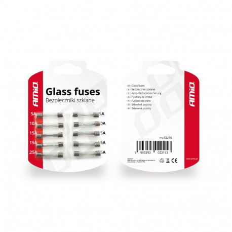 Klaasist kaitsmed 10 tk komplekt amio-02215