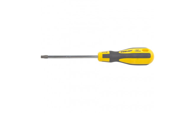 10196 Wkrętak torx security T40