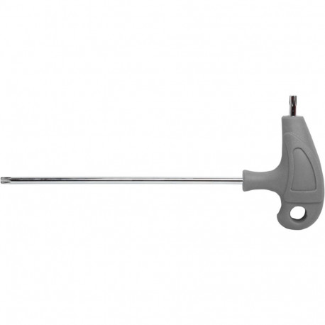 torx-turva t40 plastkäepidemega, s2 proline