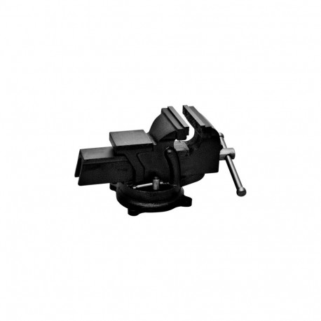 25610 Pööratav lukksepa kruustangid 100 mm, Proline