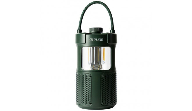 Kaasaskantavad Bluetooth Kõlarid Marshall PURE WOODLAND GLOW Roheline 20 W
