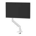 Lauatugi Ekraanile Neomounts DS70-250WH1 17" 35"