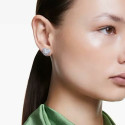Naiste Kõrvarõngad Swarovski 5683576 Naiste Kõrvarõngad Swarovski 5683576