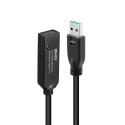 USB-kaabel LINDY 43376 Must 10 m (1 Ühikut)