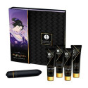 Suur lõbukomplekt Naughty Geisha Shunga SECRET GEISHA COQUINE