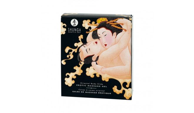 Pleasure Kit Shunga 9409_31992