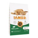 Корм для котов IAMS Advanced Nutrition Cat Adult Мясо ягненка 10 kg