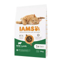 Корм для котов IAMS Advanced Nutrition Cat Adult Мясо ягненка 10 kg