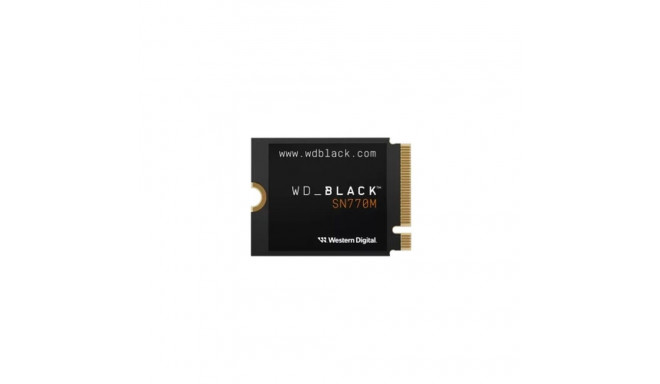 Cietais Disks SanDisk WDBDNH0010BBK-WRSN 1 TB SSD