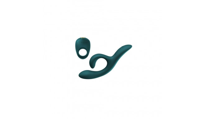 Paaride masseerija We-Vibe