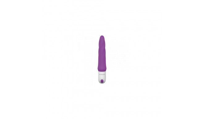 G-Spot Vibrator Toyz4lovers Purple Silicone
