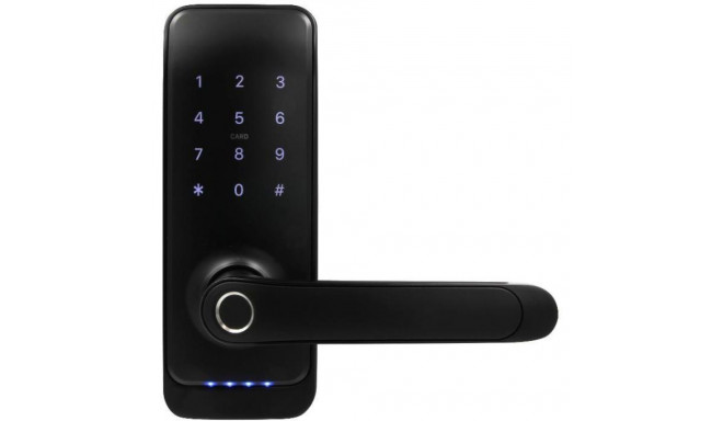Handle with access controller EURA ELH-01H4 black