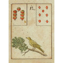 Card Game Primal Lenormand The Game of Hope AGM