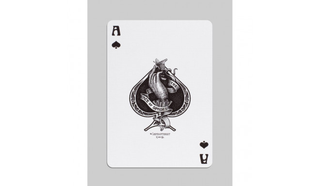 The Lepidopterist Cards