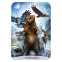 Rockpool Sacred Power Cards