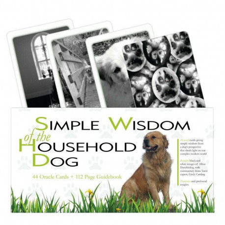 Schiffer Publishing Simple Wisdom Of The Household Dog Cards