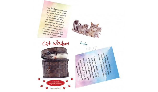 Blue Angel Cat Wisdom Cards