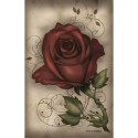 US Games Systems Under The Roses Lenormand Cards