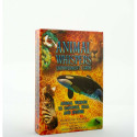 Findhorn Press Animal Whispers Empowerment Cards