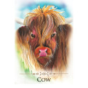 Animal Dreaming Spirit Animals Message Cards