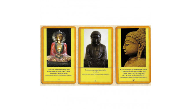 Agm Osho Decouvrez Bouddha French Edition Cards