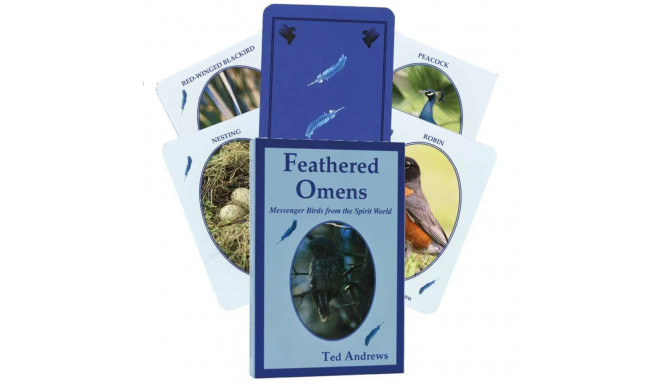 Dragonhawk Publishing Feathered Omens Spiritual Cards