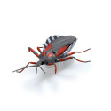 HEX interaktiivne mänguasi Nano Real Bugs 5 pakk